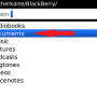 blackberry2.png