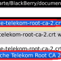 blackberry3neu.png